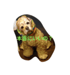 ヴィビスタンプ（個別スタンプ：8）