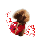 なるすた^^ ^（個別スタンプ：1）
