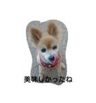 ポメラニアン 桃きな（個別スタンプ：4）