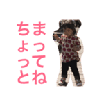 sakurako4（個別スタンプ：7）