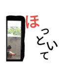 豊田スタンプ（個別スタンプ：21）