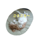 BEAGLE's（個別スタンプ：4）