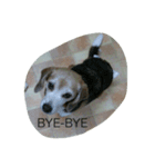 BEAGLE's（個別スタンプ：7）