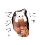 めい君の1日③（個別スタンプ：2）