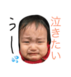 めい君の1日③（個別スタンプ：13）