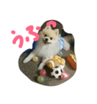 ソラさん（個別スタンプ：3）