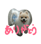 ソラさん（個別スタンプ：6）