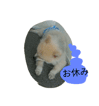 ソラさん（個別スタンプ：7）