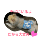 ソラさん（個別スタンプ：8）