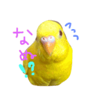 らぶるち（個別スタンプ：1）