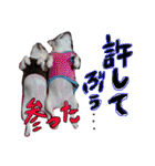 フレブル姉妹(ぶちゃりーず)（個別スタンプ：37）