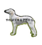 怒タヌキと弟たち（個別スタンプ：3）