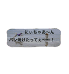 怒タヌキと弟たち（個別スタンプ：5）