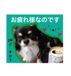 ムタンプ♡（個別スタンプ：4）