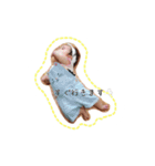 ひまり  100%（個別スタンプ：1）