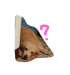 butterU（個別スタンプ：2）