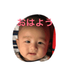taisei hisada（個別スタンプ：1）