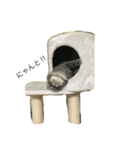 SYOBU STAMP 2（個別スタンプ：8）