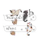 【わかこ】猫だらけの吹き出し（個別スタンプ：28）