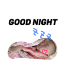rinkasan（個別スタンプ：6）