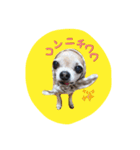 ルビィおじいちゃんのスタンプ2（個別スタンプ：2）