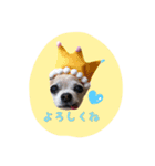 ルビィおじいちゃんのスタンプ2（個別スタンプ：4）