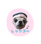 ルビィおじいちゃんのスタンプ2（個別スタンプ：7）