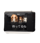 チー コタ ぺ サチコ（個別スタンプ：9）