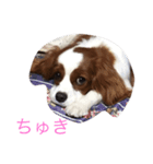 幸せを運ぶハッピー！（個別スタンプ：4）