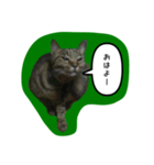 ナリタの日常2（個別スタンプ：1）