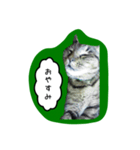 ナリタの日常2（個別スタンプ：2）