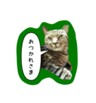 ナリタの日常2（個別スタンプ：3）