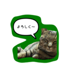 ナリタの日常2（個別スタンプ：4）