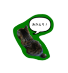 ナリタの日常2（個別スタンプ：5）