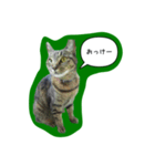 ナリタの日常2（個別スタンプ：6）