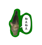 ナリタの日常2（個別スタンプ：10）
