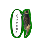 ナリタの日常2（個別スタンプ：15）