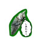 ナリタの日常2（個別スタンプ：16）