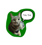 ナリタの日常2（個別スタンプ：18）