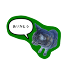 ナリタの日常2（個別スタンプ：21）