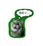 ナリタの日常2（個別スタンプ：22）