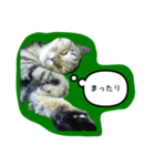 ナリタの日常2（個別スタンプ：23）
