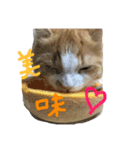 Laoのまいにち（個別スタンプ：8）