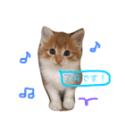 こばん君（個別スタンプ：2）