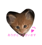 こばん君（個別スタンプ：4）