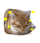 こばん君（個別スタンプ：5）