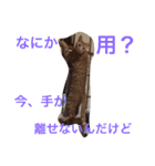 ねこの日常生活0925（個別スタンプ：4）