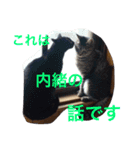ねこの日常生活0925（個別スタンプ：8）