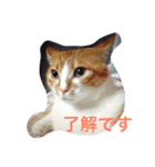 ねこの日常生活0925（個別スタンプ：9）