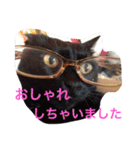 ねこの日常生活0925（個別スタンプ：12）